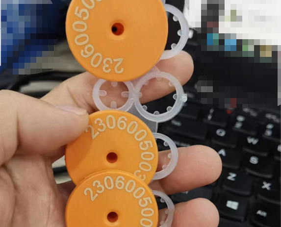 Sample picture of laser marking ear tag